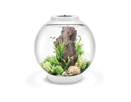 rundes Aquarium biOrb 71999 CLASSIC 60 LED weiß, Acryl-Glas