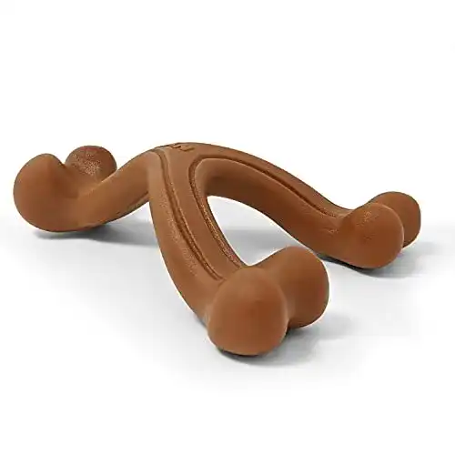 Die beste Nylabone Nylabone 984719EU Gabel-Hundeknochen, Bison 2026 Test Bestseller Nylabone Nylabone 984719EU Gabel-Hundeknochen, Bison