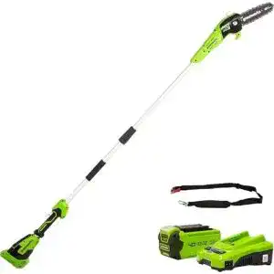 Hochentaster Greenworks Tools Akku- G40PSFK2 3-teilig