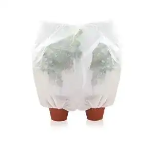 Tomatenhaube Amazy Schutzhülle für Pflanzen 2er Set, M