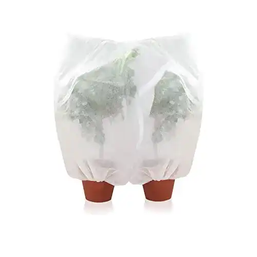 Tomatenhaube Amazy Schutzhülle für Pflanzen 2er Set, M