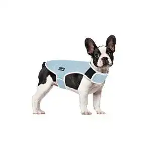 Kühlweste Hund pecute Hund Kühlweste Blau, L
