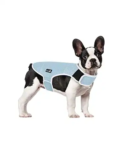 Die beste Kühlweste Hund pecute Hund Kühlweste Blau, L 2026 Test Bestseller Kühlweste Hund pecute Hund Kühlweste Blau, L