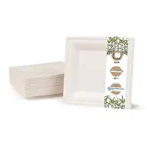 Bio-Einweggeschirr BIOZOYG GREENBOX Umweltverträgliches Bagasse