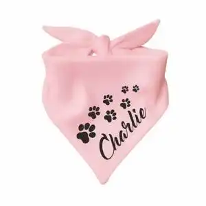 Hundehalstuch Kleiner Fratz Dreiecks Halstuch, Name des Hundes