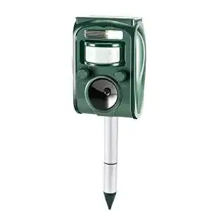 Katzenschreck zonpor Ultraschall Solar Tiervertreiber mit LED Blitz