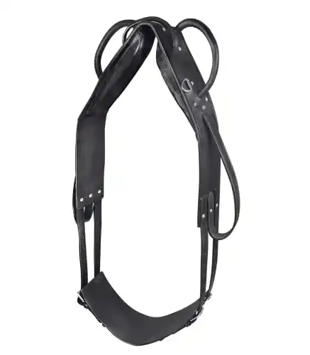 Voltigiergurt Waldhausen , schwarz, Pony, schwarz, Pony