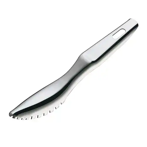 Fischentschupper Küchenprofi , Edelstahl, Stainless Steel