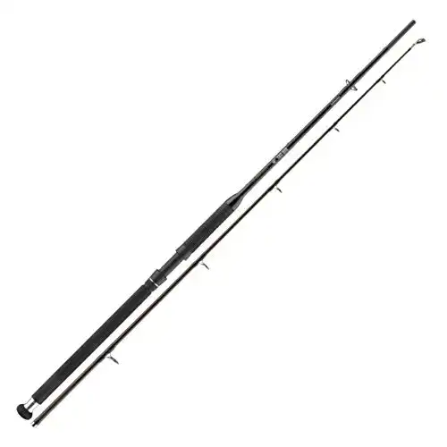 Wallerrute Cormoran BIG CAT Power Lifter 2tlg. 100-400g 2.70m