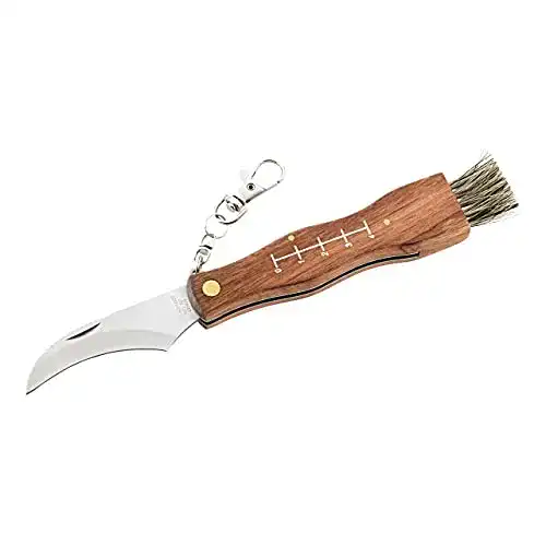 Pilzmesser Herbertz , Stahl AISI 420, Nagelhau, Holz-Griff, Bürste