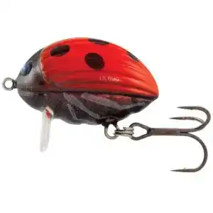 Salmo-Wobbler Salmo Lil Bug 2cm 2,8g Wobbler, Lady Bird