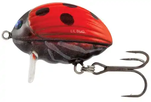 Salmo-Wobbler Salmo Lil Bug 2cm 2,8g Wobbler, Lady Bird