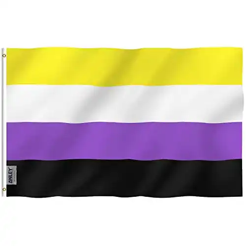 Non-Binary-Flagge Anley Fly Breeze 3×5 Fuß Non-Binary Pride