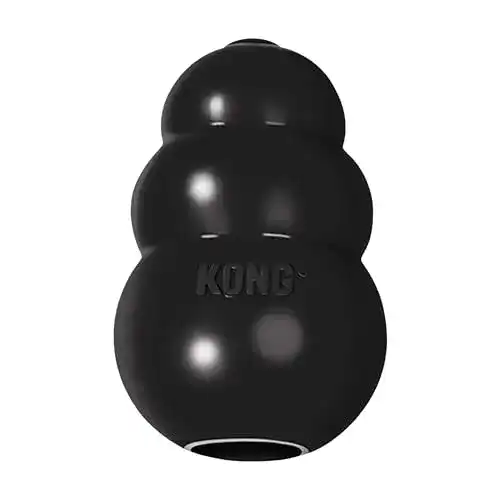 Kong-Hundespielzeug KONG robuster Naturkautschuk, Schwarz