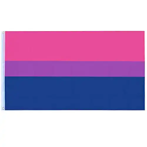 Bi-Flagge TRIXES Bi-Pride Flagge für drinnen und draußen