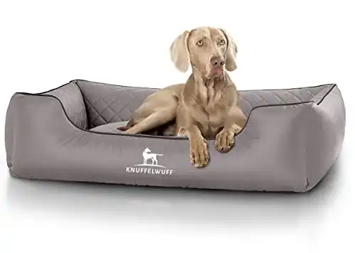 Hundebett-Knuffelwuff Knuffelwuff Orthopädisch Madison