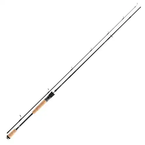 Daiwa-Spinnrute Daiwa Angelrute Spinnrute Lexa Spin 2,10m