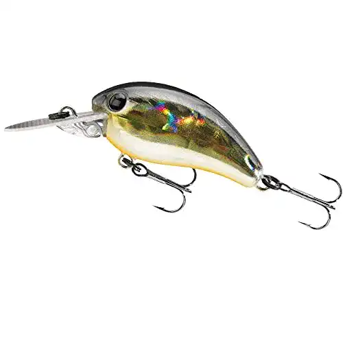 Daiwa-Wobbler Daiwa Tournament Wobbler Baby Crank 35mm PG