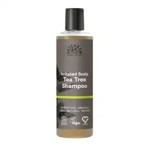 Urtekram-Shampoo Urtekram Teebaum Shampoo Bio, 250 ml