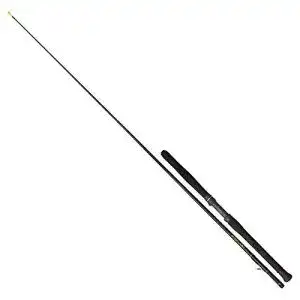 Wallerrute Black Cat Rhino Battle Cat Inline 2,20m 150-250g Rute Waller Wels