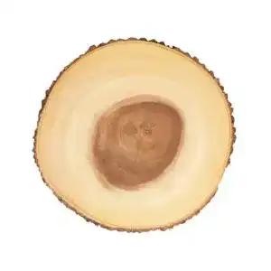 Servierplatte