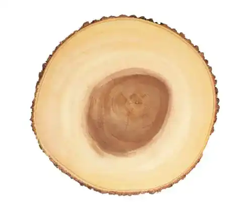 Servierplatte Artesa Artesà Rustikale Serviertablett, Akazienholz