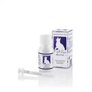 Zahnpflege Katze FeliMove dental mit Vitalpilzen, Propolis, EPA