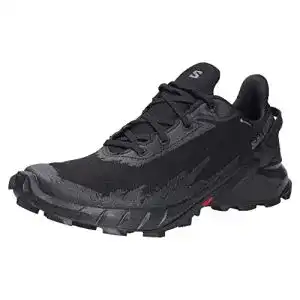 Trailrunningschuhe Herren Salomon Alphacross 4 Gore-Tex Herren