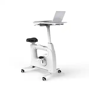 Desk-Bike FLEXISPOT V9 Höhenverstellbares Tischfahrrad