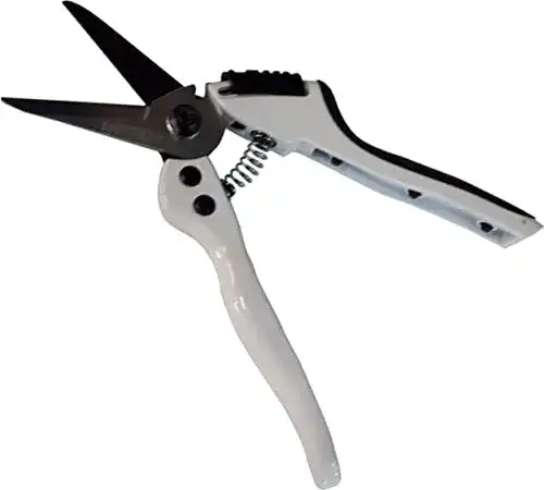 Klauenschere Schafe Klauenschere