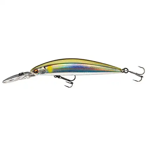 Daiwa-Wobbler Daiwa Tournament Current Master DR 93mm LA