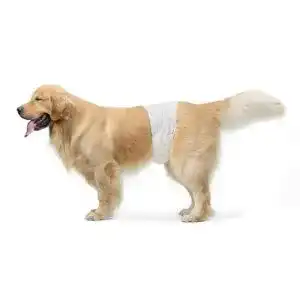 Hundewindeln Amazon Basics, für Rüden, Große, 30er-Pack