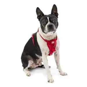 Sicherheitsgeschirr für den Hund Kurgo Enhanced Tru-Fit Smart