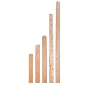 Zaunlatten Gartenwelt Riegelsberger Typ A Lärchenholz 20×95 mm