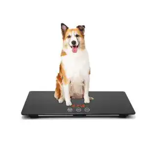 Tierwaage MINDPET-MED für große Hunde, 0,35 OZ Genauigkeit