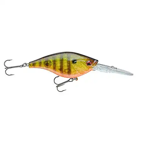 Daiwa-Wobbler Daiwa Prorex Crank BT80DR Gold Perch Wobbler