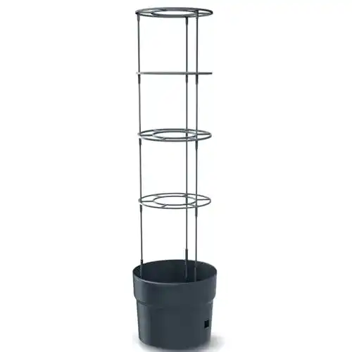 Tomatentopf PROSPERPLAST Macetero de tomates Tomate Grower