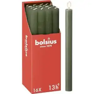 Bolsius-Kerzen bolsius Olivgrün 16 Stück Unparfümiert