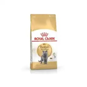 Royal-Canin-Katzenfutter ROYAL CANIN Feline British Shorthair