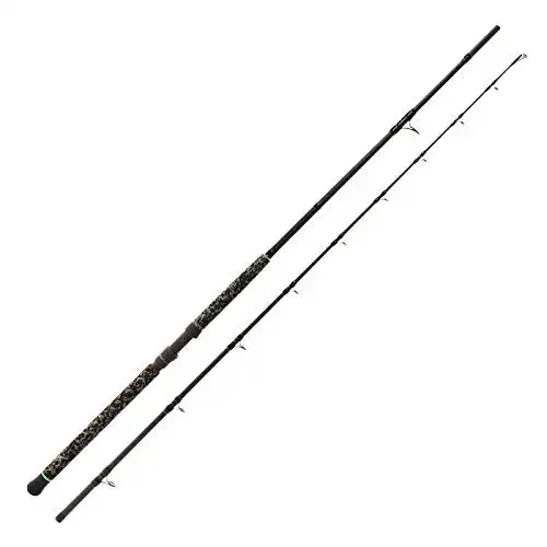 Wallerrute Zeck Fishing Zeck Pro-Cat Ruten n 3,00m 400g