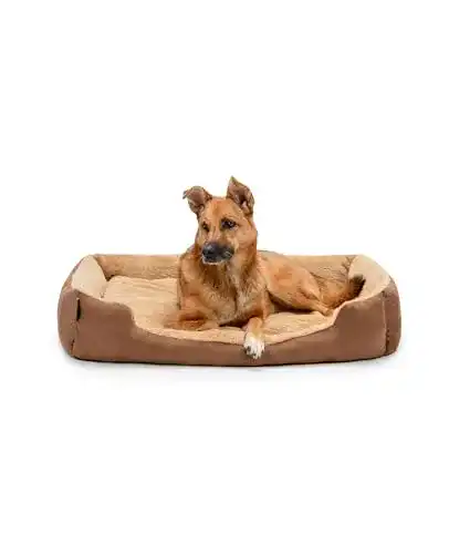 Die beste Hundebett für große Hunde lionto Hundebett mit Wendekissen 2026 Test Bestseller Hundebett für große Hunde lionto Hundebett mit Wendekissen
