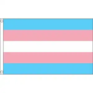 Trans-Flagge UKFlagShop 150 x 90 cm New Transgender