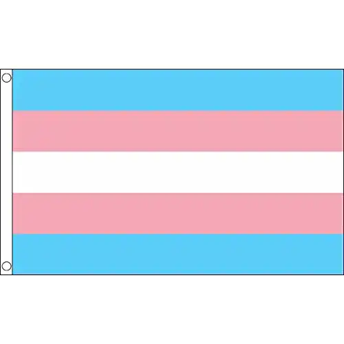 Trans-Flagge UKFlagShop 150 x 90 cm New Transgender