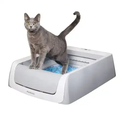 Die beste Selbstreinigendes Katzenklo PetSafe ScoopFree mit Einwegschale 2026 Test Bestseller Selbstreinigendes Katzenklo PetSafe ScoopFree mit Einwegschale