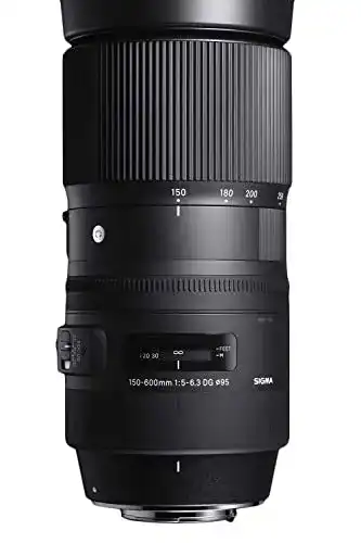 Die beste Objektiv für Nikon Sigma 745306 150-600mm F5,0-6,3 DG OS HSM 2026 Test Bestseller Objektiv für Nikon Sigma 745306 150-600mm F5,0-6,3 DG OS HSM