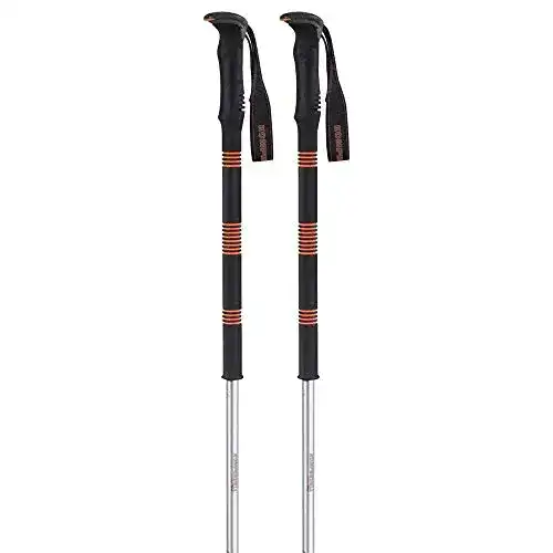 Komperdell-Skistöcke Komperdell Contour Titanal 2 Foam
