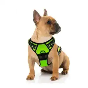Hundegeschirr mit Brustring Supet , reflektierend, atmungsaktiv