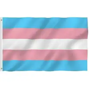 Trans-Flagge Anley Fly Breeze 3×5 Fuß Transgender Flagge