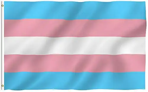 Trans-Flagge Anley Fly Breeze 3×5 Fuß Transgender Flagge