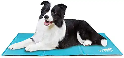 Kühlmatte Hund Toozey Kühlmatte Hunde Katzen Selbstkühlend